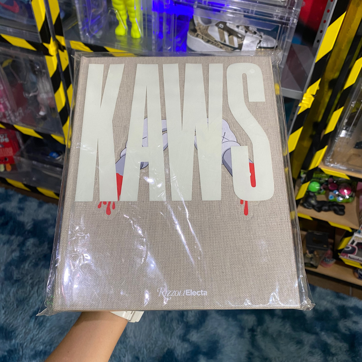 Libro KAWS x Rizzolli 2010